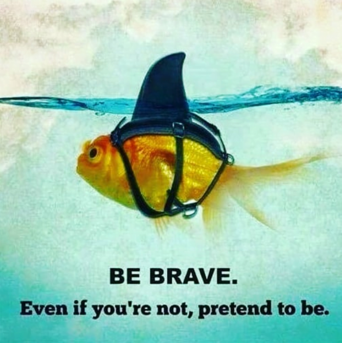You got this!